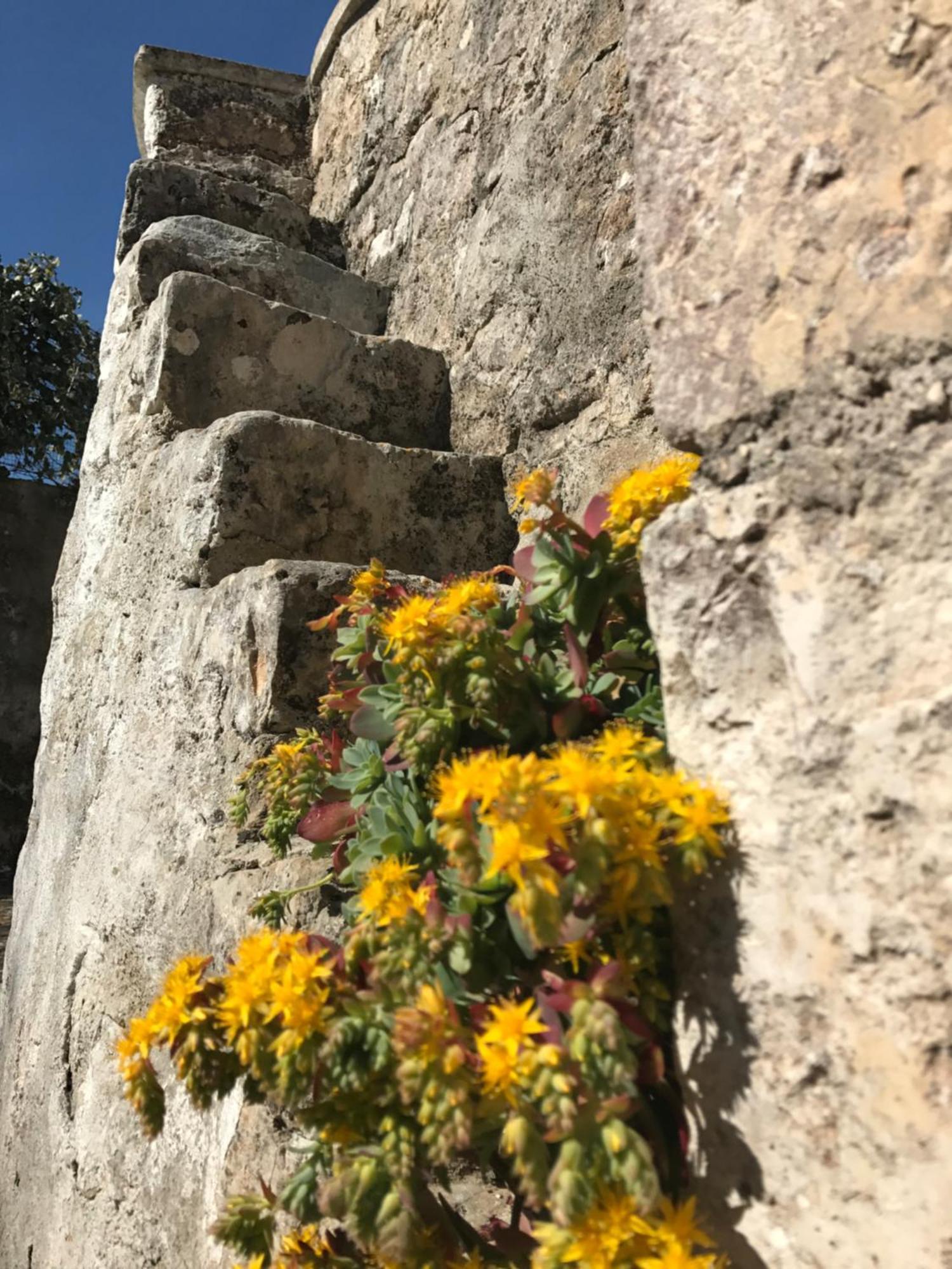 Hostal Agritrulli Ostuni Exterior foto